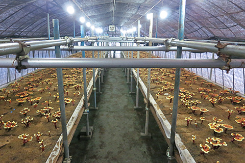 604系列試用盒 604試用盒