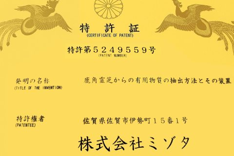 604系列試用盒 604試用盒